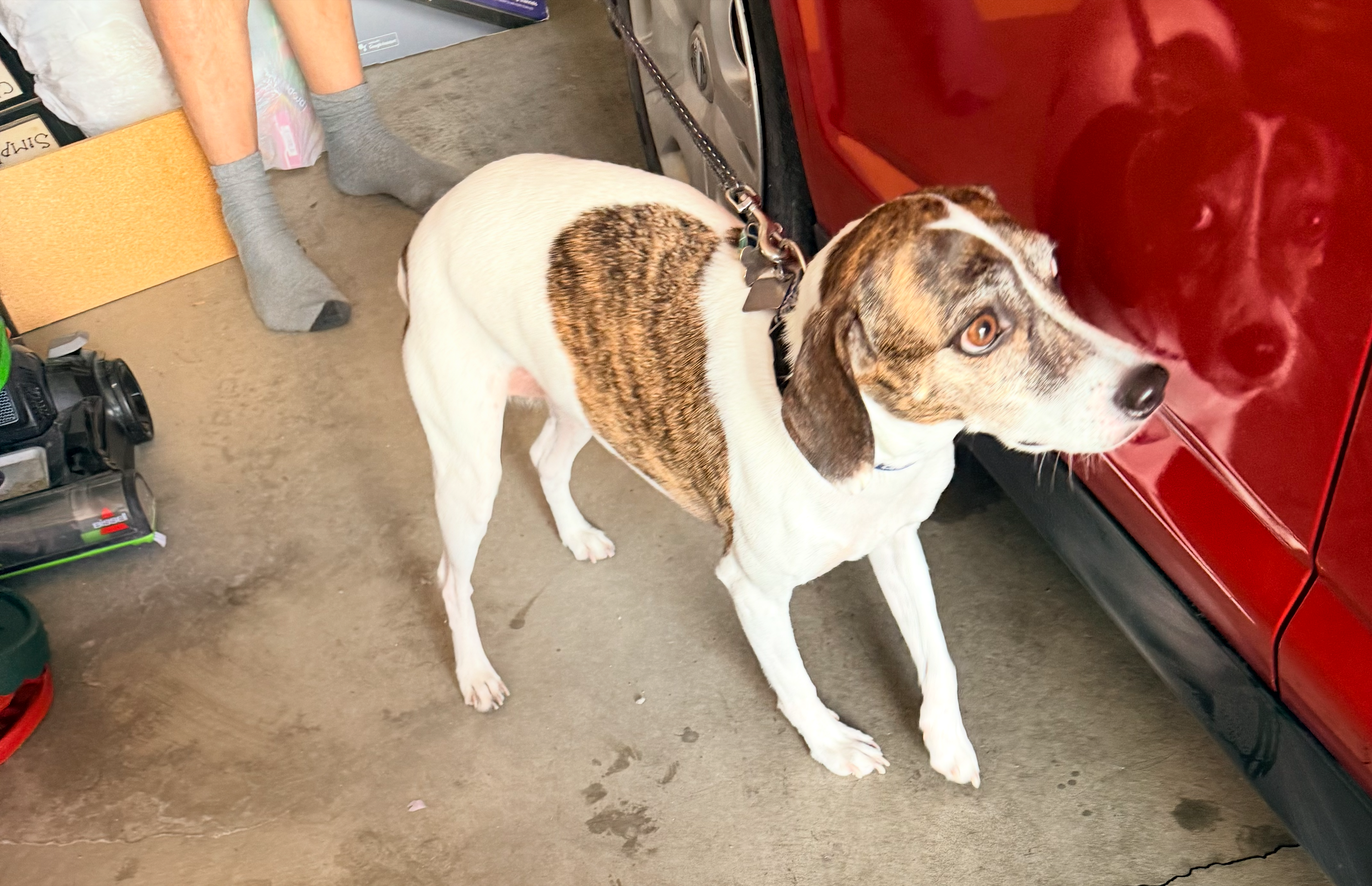 Special helper inspecting the Nissan Versa