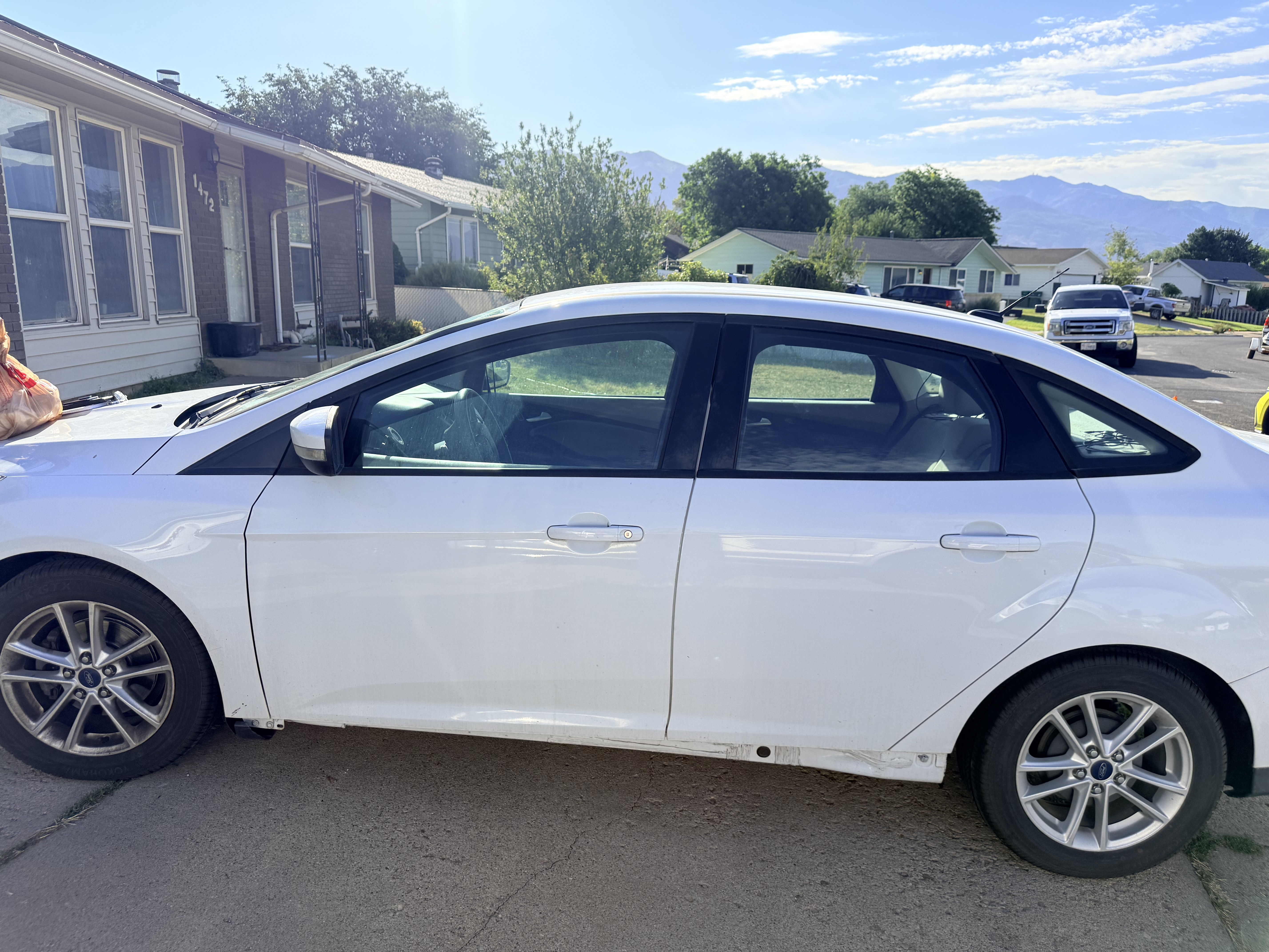 Ford Focus before decontamination wash - side view
